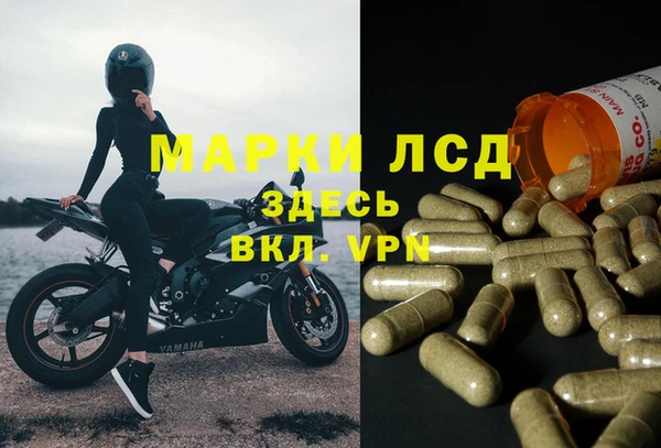 гидра Костерёво