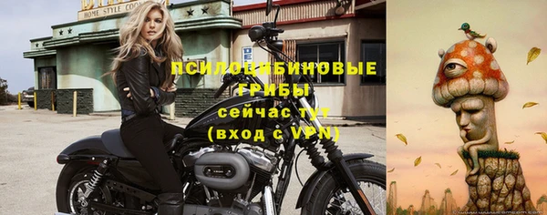 круглые Коряжма