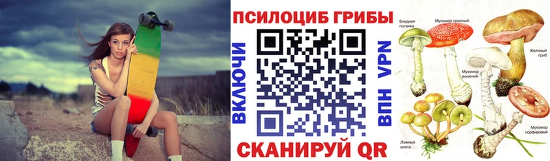 Купить  Спас-Деменск  Псилоцибиновые грибы мухоморы 